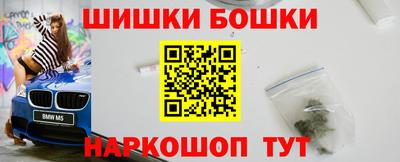 шишки Заволжье