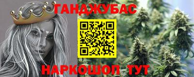 шишки Заволжье