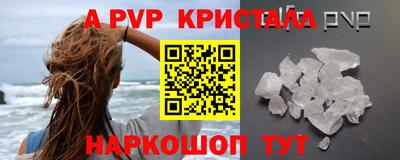 шишки Заволжье